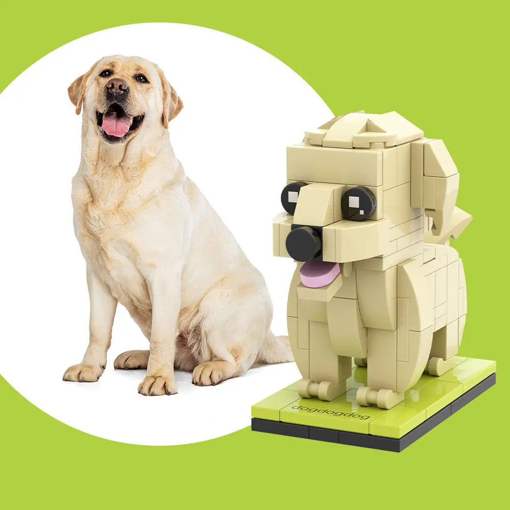 Personalisierte Bausteinfigur – 1 Hund – Personalisierter Labrador - Geschenk für Hundebesitzer