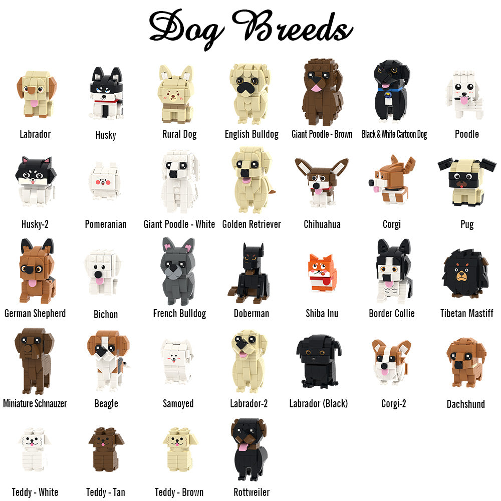 „Individuelle Bausteinfigur – 1 Person mit Hund – Personalisierbares Set