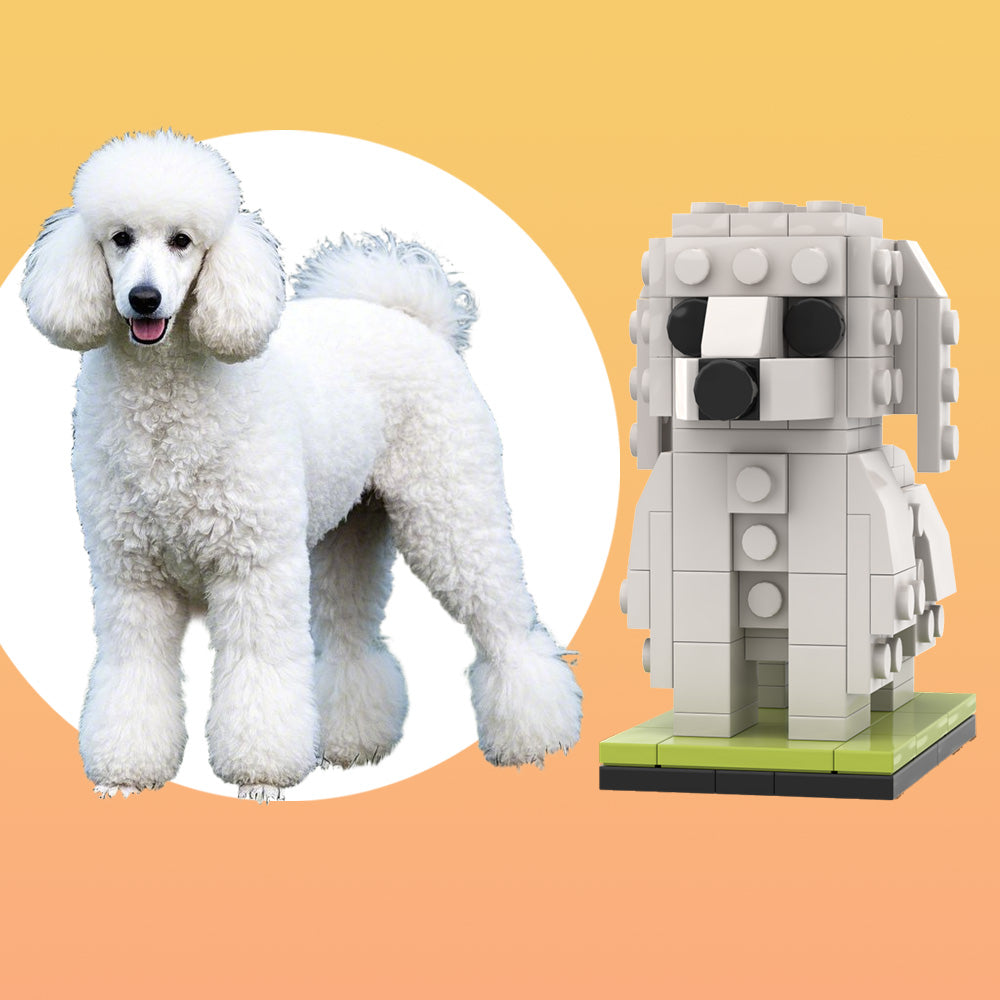 Individuelle Bausteinfigur – 1 Hund – Personalisierter Großpudel