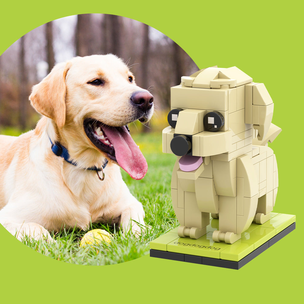 Individuelle Bausteinfigur – 1 Hund – Personalisierter Labrador
