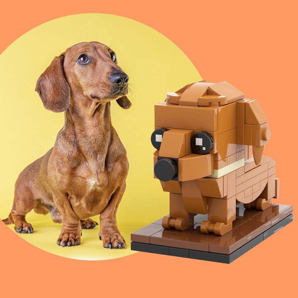 Individuelle Bausteinfigur – 1 Hund – Personalisierter Dackel