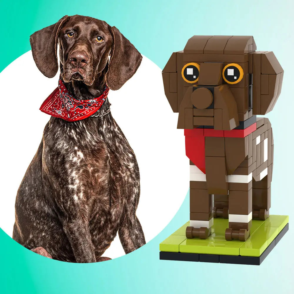 Individuelle Bausteinfigur – 1 Hund – Personalisierter Deutsch-Kurzhaar